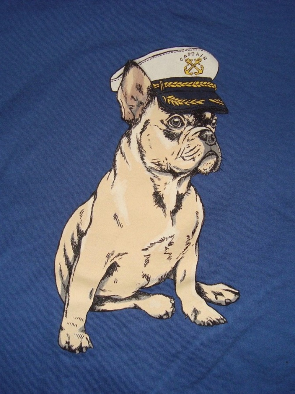 J. Crew Captain Frenchie T-Shirt - Picture 2 of 5